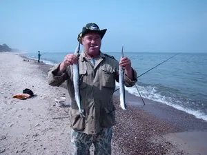 Як спіймати саргана в чорному морі інші риби (ловля саргана на бомбарду) Як спіймати саргана в чорному морі інші риби