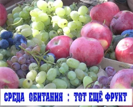 Як псується натуральний помідор