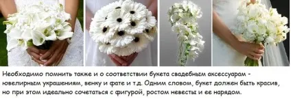 Як правильно зібрати букет для нареченої, які квіти в нього включити (нареченої) Як правильно зібрати букет для нареченої, які квіти в нього включити