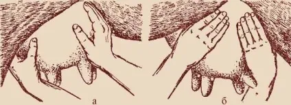 Як правильно раздоя козу після окоту (раздоя) Як правильно раздоя козу після окоту