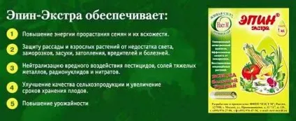 Як правильно виростити розсаду перців для гарного врожаю (правильно) Як правильно виростити розсаду перців для гарного врожаю