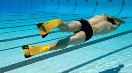 Як правильно плавати в ластах, офіційний сайт фітнес-клубу - імперія (фітнес-клубу) Як правильно плавати в ластах, офіційний сайт фітнес-клубу - імперія