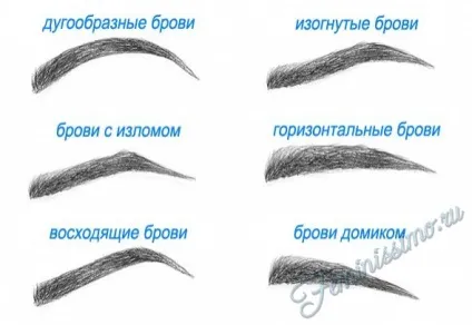 Як правильно фарбувати брови рекомендації та поради з фото