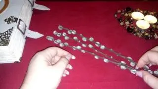 Змови на вербну неділю (неділя) Змови на вербну неділю