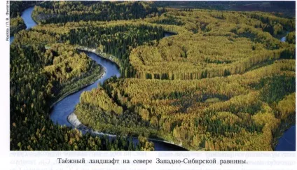 Західно-сибірська рівнина (другим гумусовим горизонтом) Західно-сибірська рівнина