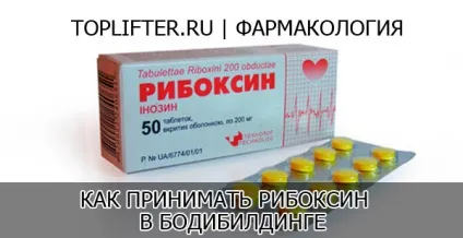 Як приймати рибоксин в бодібілдингу (аденозин три-фосфорної кислоти) Як приймати рибоксин в бодібілдингу
