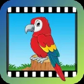 Як розрізнити покоління ipad, корисне, новини (моделі) Як розрізнити покоління ipad, корисне, новини