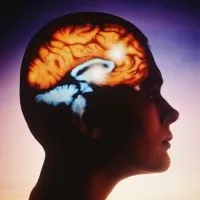 Як розвинути пам'ять і увагу (увага) Як розвинути пам'ять і увагу