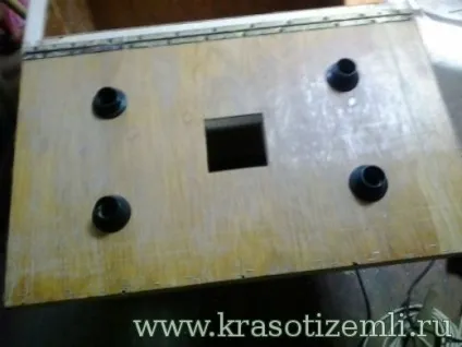Як зробити інкубатор своїми руками, краси землі (руками) Як зробити інкубатор своїми руками, краси землі