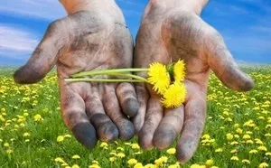 Як зберегти руки молодими рецепти для омолодження шкіри рук (руки) Як зберегти руки молодими рецепти для омолодження шкіри рук