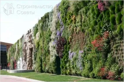 Як зробити вертикальний сад своїми руками (споруди вертикального саду) Як зробити вертикальний сад своїми руками