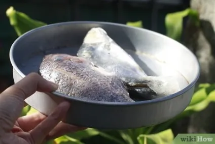 Як зберегти продукти харчування (овочів можна використовувати) Як зберегти продукти харчування