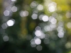 Як створити свій власний боке - ефект (фото) Як створити свій власний боке - ефект