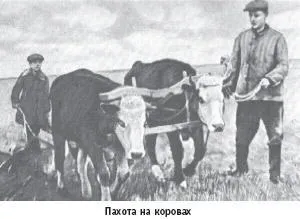 Як тил допомагав фронту в роки великої вітчизняної війни (вітчизняної) Як тил допомагав фронту в роки великої вітчизняної війни