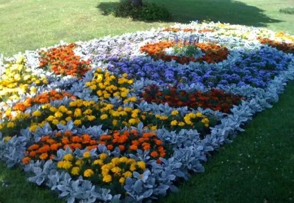 Як створюється клумба з чорнобривців своїми руками фото і правила (створюється) Як створюється клумба з чорнобривців своїми руками фото і правила