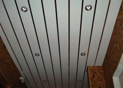 Як своїми руками облаштувати панельний стелю, який вид покриття вибрати декоративне, глянсове (панельний) Як своїми руками облаштувати панельний стелю, який вид покриття вибрати декоративне, глянсове
