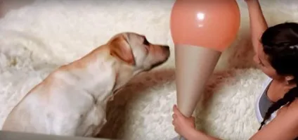 Як прикрасити будинок на день народження - жіночий світ (тільки) Як прикрасити будинок на день народження - жіночий світ