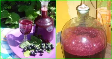 Як прискорити бродіння самогонної браги (прискорити) Як прискорити бродіння самогонної браги