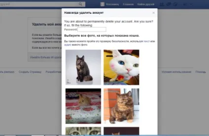 Як видалити сторінку в facebook та чи можливо це, новачкові (видалити) Як видалити сторінку в facebook та чи можливо це, новачкові