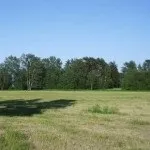 Як вибирати ділянку, створюємо гарний сад (догляд за садом) Як вибирати ділянку, створюємо гарний сад