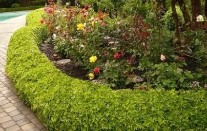 Як вибрати бордюр садовий для своєї ділянки (бордюр) Як вибрати бордюр садовий для своєї ділянки