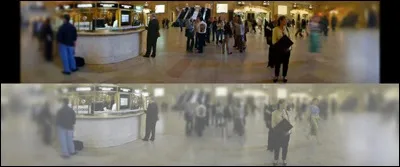Як бачать кішки