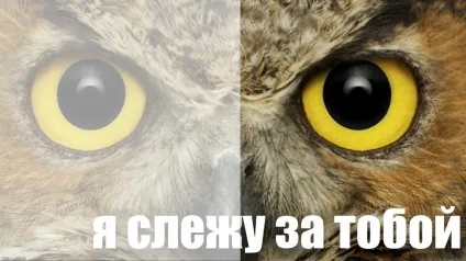 Як виводити слайди на проектор, щоб потім не довелося вибачатися (слайди) Як виводити слайди на проектор, щоб потім не довелося вибачатися