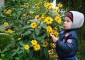 Як я дитячий сад для дитини шукала