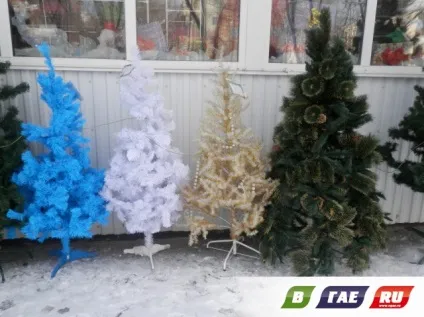 Як я ялинки продавав