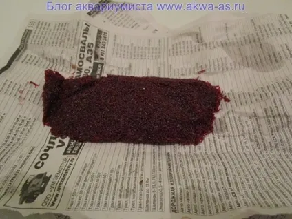 Як заморозити мотиль, блог акваріума