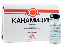 Канаміцин - інструкція, застосування, призначення (канаміцину сульфат) Канаміцин - інструкція, застосування, призначення