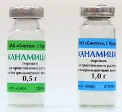 Канаміцин - інструкція, застосування, призначення (канаміцин інструкція) Канаміцин - інструкція, застосування, призначення