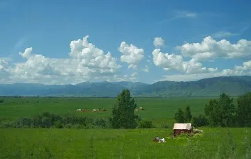 Картини в співавторстві з принтером як зробити картину з фотографії