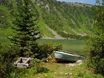 Картини в співавторстві з принтером як зробити картину з фотографії