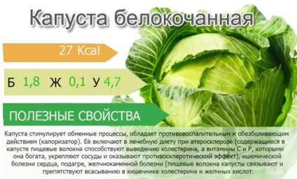 Капуста білокачанна - калорійність, корисні властивості, користь і шкода, опис