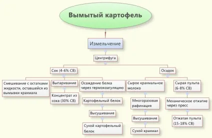 Картопляна пульпа і картопляний білок - побічні продукти при виробництві картопляного крохмалю (годування ВРХ на відгодівлі) Картопляна пульпа і картопляний білок - побічні продукти при виробництві картопляного крохмалю