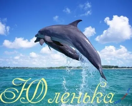 Картинки з ім'ям юля, картинки з іменами (іменами) Картинки з ім'ям юля, картинки з іменами