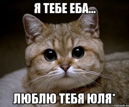 Картинки юля я тебе люблю (тебе) Картинки юля я тебе люблю