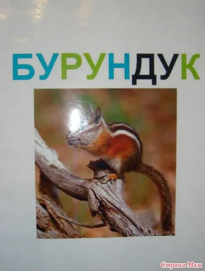 Картки Домана для Вовика - іграшки своїми руками - країна мам (розвиваючі іграшки) Картки Домана для Вовика - іграшки своїми руками - країна мам