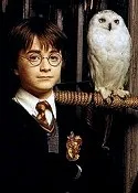 Тварини з Гаррі Поттера - potterrus - про Гаррі Поттера по-російськи