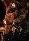 Тварини з Гаррі Поттера - potterrus - про Гаррі Поттера по-російськи