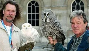 Тварини з Гаррі Поттера - potterrus - про Гаррі Поттера по-російськи (гаррі) Тварини з Гаррі Поттера - potterrus - про Гаррі Поттера по-російськи