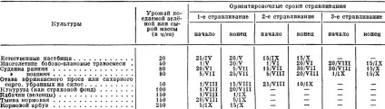 зелений конвеєр