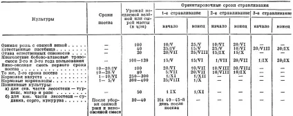 зелений конвеєр
