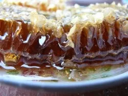Каштановий мед - корисні властивості і протипоказання (каштановий) Каштановий мед - корисні властивості і протипоказання