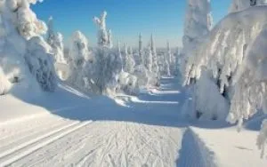 До чого сниться сніг