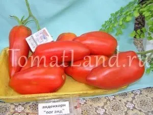 кистьові томати