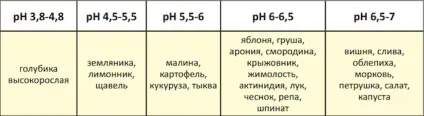 Кислий грунт що краще посадити і як виправити (виправити) Кислий грунт що краще посадити і як виправити