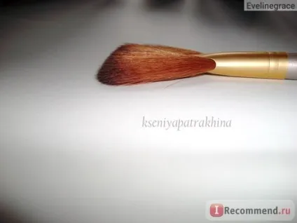 Кисть lovely віяло для пудри - «для чого потрібна віялова кисть, і знайду я застосування цього (віяло) Кисть lovely віяло для пудри - «для чого потрібна віялова кисть, і знайду я застосування цього