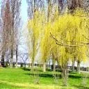 Колега поводиться як дурень - подобаюся) (себе) Колега поводиться як дурень - подобаюся)